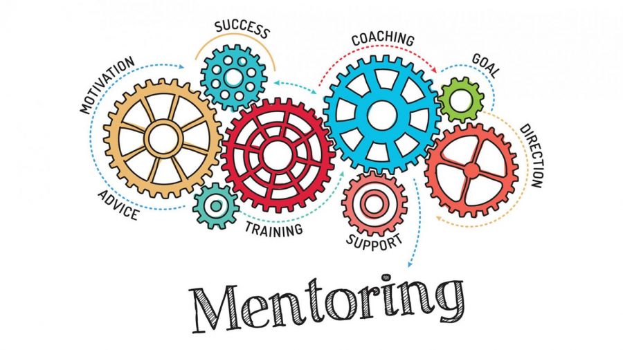Should We Keep Summit Mentoring?