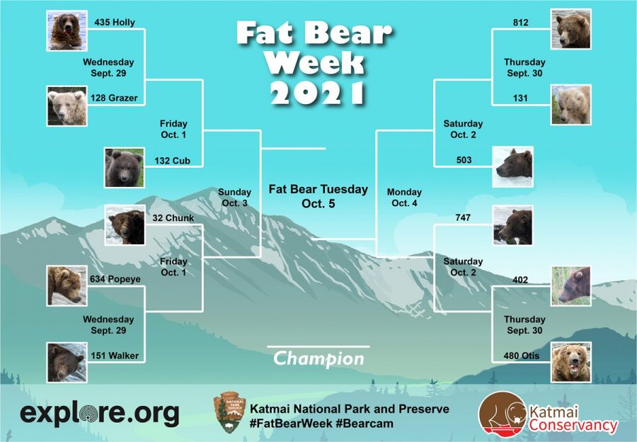 The official bracket of Fat Bear Week 2021