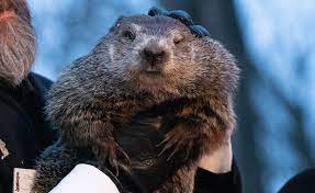 Are Punxsutawney Phil’s weather predictions accurate?