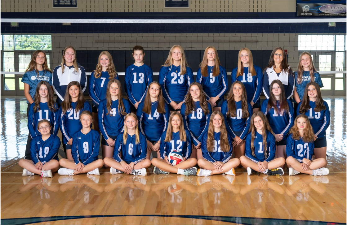 Jr. High Volleyball Team Picture